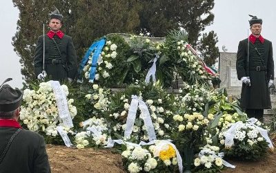 Pályázati felhívás ügyvezetői állás betöltésére